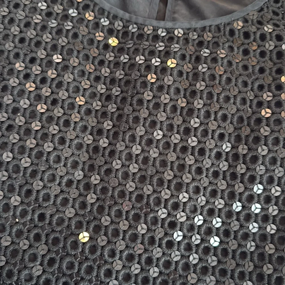 Tory Burch Woman's Long Sleeve Sequin‎ Top Sheer Sleeves Black Size 4